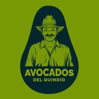 Avocados del Quindío